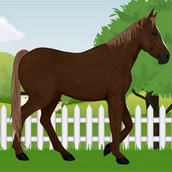 Игра Забота о гнедом скакуне