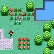 Игра Покемоны! Флэш версия