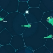 Игра Лягушка Ио