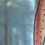 Игра Повелитель комаров