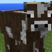 Игра Когакрафт