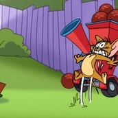 Игра Кот и мышь во дворе