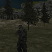 Игра Лесное агентство