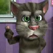 Игра Говорящий кот Том