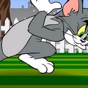 Игра Том и Джерри: В поисках дома