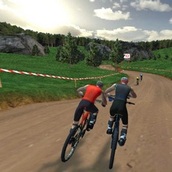 Игра Профессиональный велогонщик