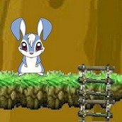 Игра Кролик Кико в поисках морковки