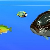 Игра Рыбка ест рыбку на двоих