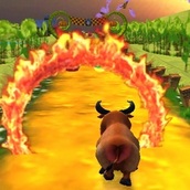 Игра Бычьи Бега