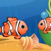 Игра Рыба ест рыбу 2 на троих