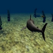 Игра Большая белая акула