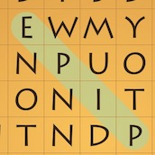 Игра Найди слова: 300 уровней