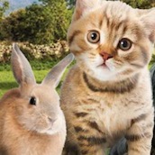 Игра Найди вещи и зверей