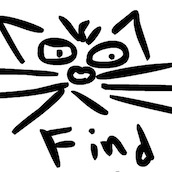 Игра Найди Кота 4