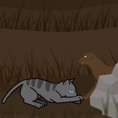 Игра Коты воители на охоте