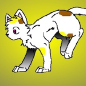 Игра Создай кота воителя