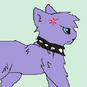 Игра Создай кота: Коты воители