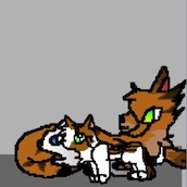 Игра Приключения Котов воителей