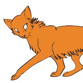 Игра Большой редактор Котов воителей