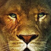 Игра Пазл головоломка: Король лев