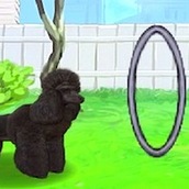 Игра Уход за животным на свежем воздухе