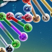 Игра Дарвинизм 2048