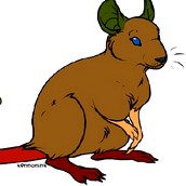 Игра Создай крысу