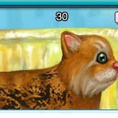 Игра Говорящий кот Том умывается